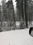 Bringtreueprüfung in Mürzzuschlag